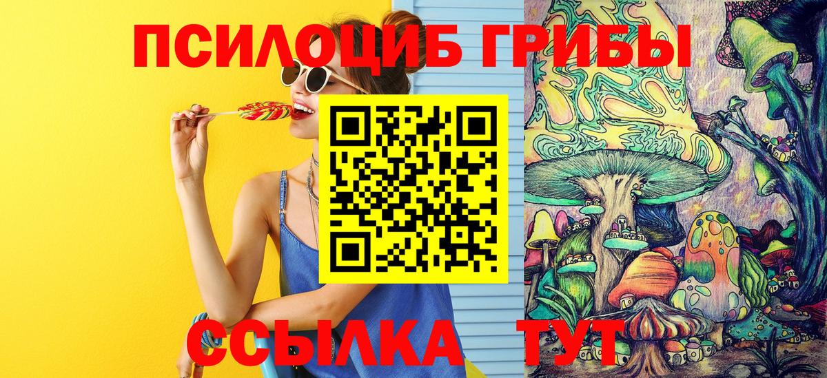 Артём  Псилоцибиновые грибы Psilocybine cubensis  Псилоцибиновые грибы Psilocybine cubensis  Вход с VPN 